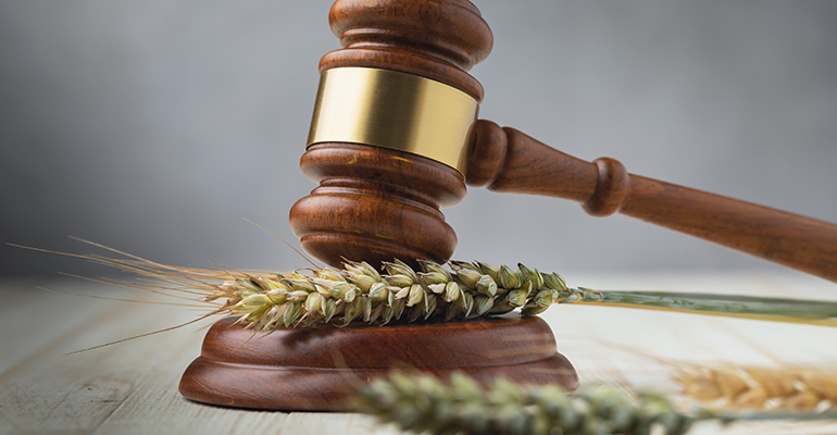 Credit: © AdobeStock/Sergey Chayko